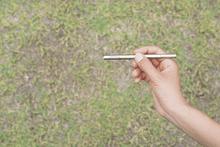 Load image into Gallery viewer, belmont BM-615  Field Sticks  - belmont Hongkong
