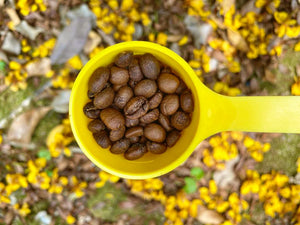 belmont x OGE Coffee "Brew in the Wild" Combo